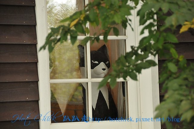 totoro16.jpg
