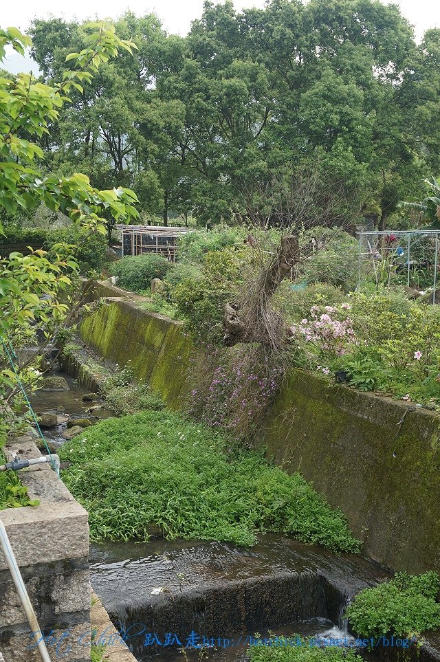 walk03.jpg