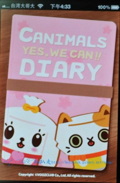 diary03.jpg