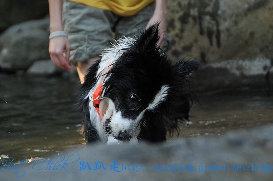 drown07.jpg