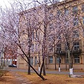 IMG_0196
