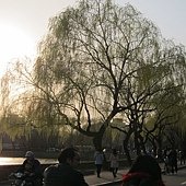 IMG_0655