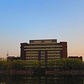IMG_0728