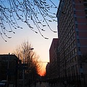IMG_0755
