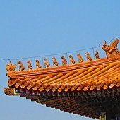 IMG_1179