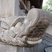 IMG_1295