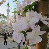IMG_1439