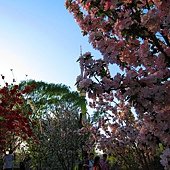 IMG_1448