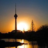 IMG_1543