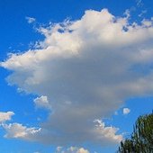 IMG_1528