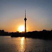 IMG_1549