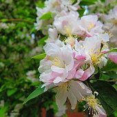 IMG_1585