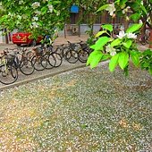 IMG_1586