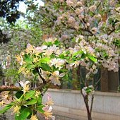 IMG_1600