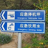 IMG_1959