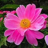 IMG_3225