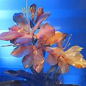 IMG_4187