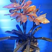 IMG_4185