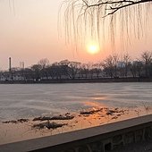 IMG_8257