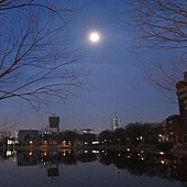 IMG_8658
