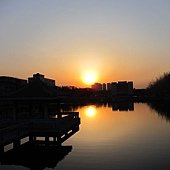 IMG_8683