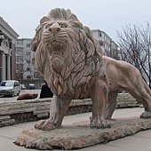IMG_9388