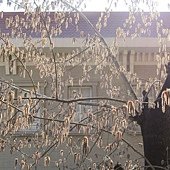 IMG_9689