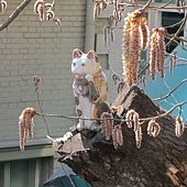 IMG_9682