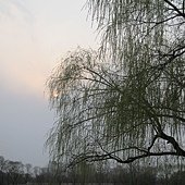 IMG_9926