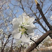 IMG_9964