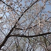 IMG_9967