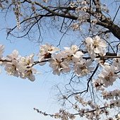 IMG_9971