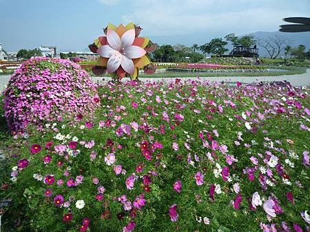 池上花海行002.JPG