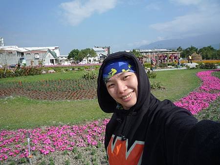 池上花海行004.JPG