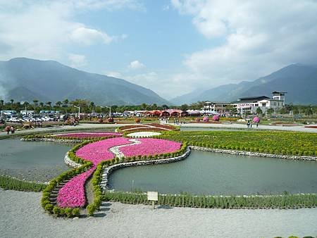 池上花海行011.JPG