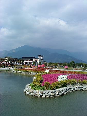 池上花海行012.JPG