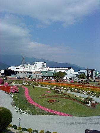 池上花海行014.JPG