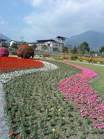 池上花海行019.JPG