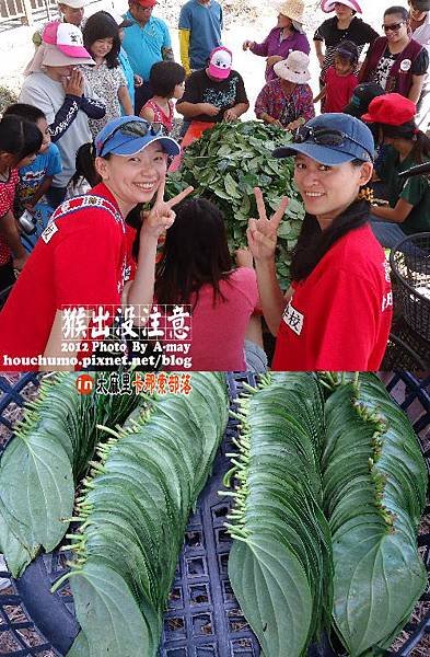 BC178 美和村卡那索部落07