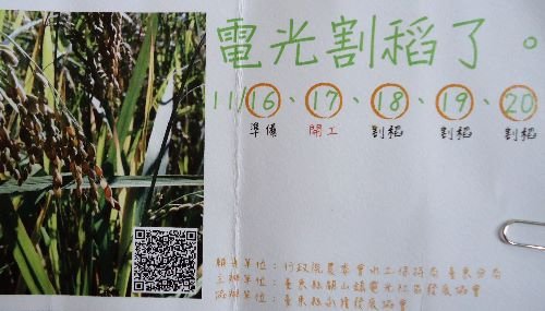 BC226  關山  電光割稻了02