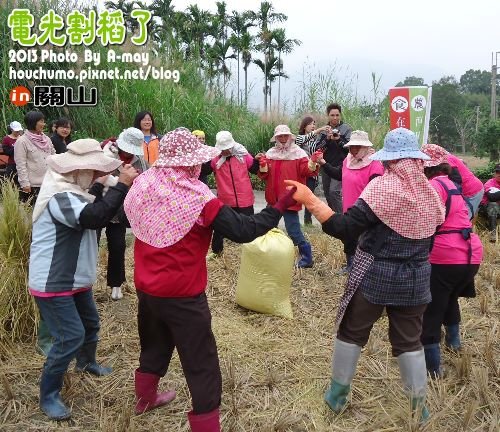 BC226  關山  電光割稻了14