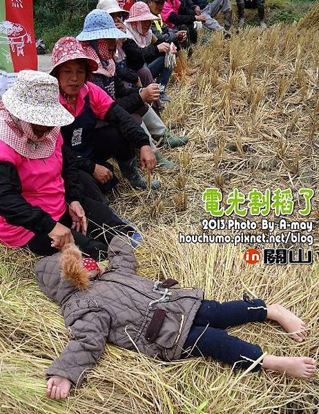BC226  關山  電光割稻了16