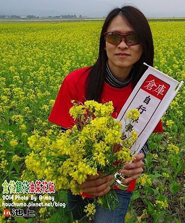 BC231  倉庫與油菜花03