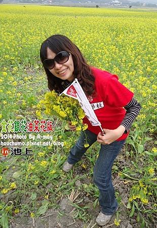 BC231  倉庫與油菜花04