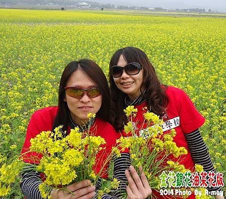 BC231  倉庫與油菜花05