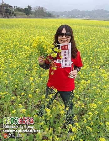 BC231  倉庫與油菜花07