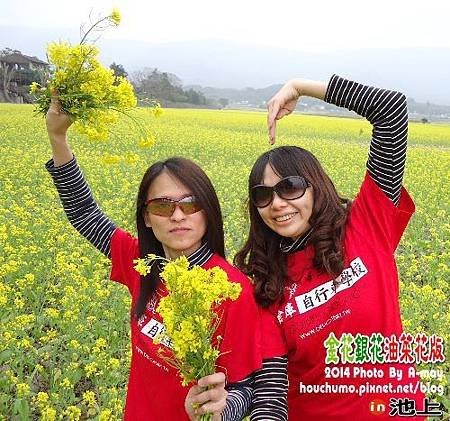 BC231  倉庫與油菜花08