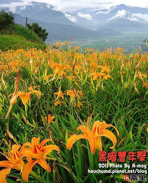 BC277  黑暗部落17