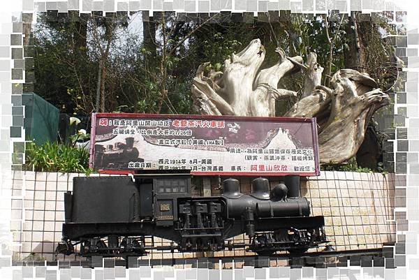 CIMG0635(001).jpg