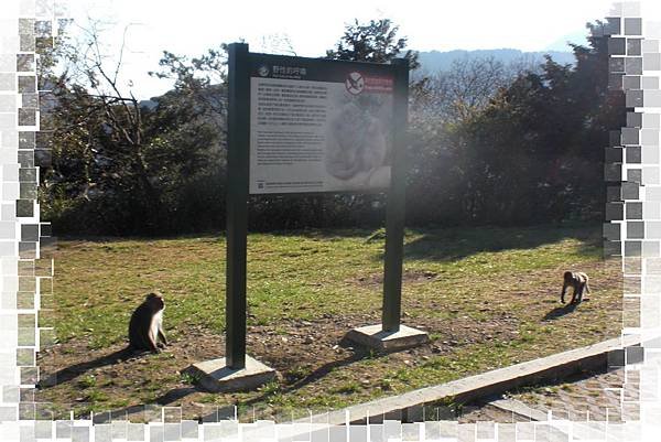 CIMG0665(001).jpg